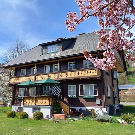 Appartement Steiner 슈라드밍 외부 사진
